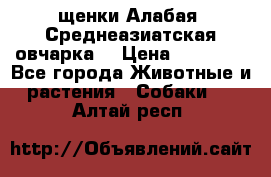 щенки Алабая (Среднеазиатская овчарка) › Цена ­ 15 000 - Все города Животные и растения » Собаки   . Алтай респ.